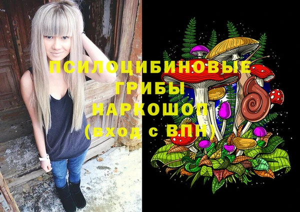 гидра Белоозёрский