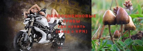 гидра Белоозёрский