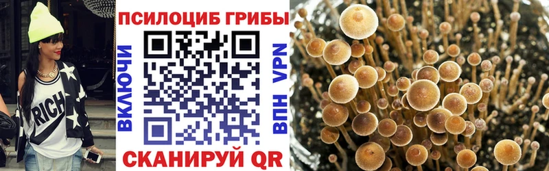 Псилоцибиновые грибы Magic Shrooms Короча